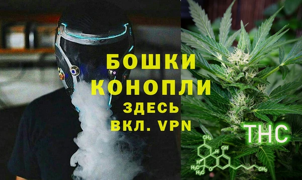 сатива Богородицк