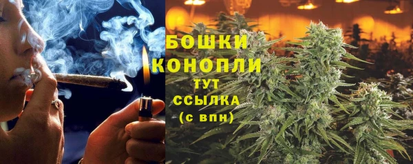 сатива Богородицк