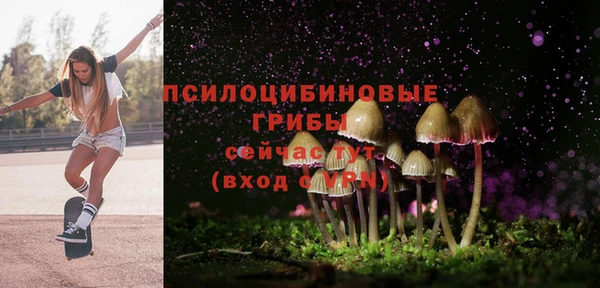 гидропоника Липки