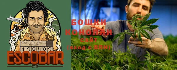 таблы Богданович