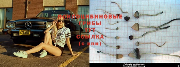 гидропоника Липки