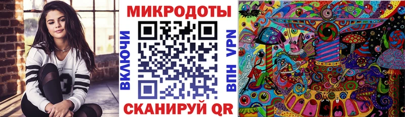 Псилоцибиновые грибы Cubensis  Буй 
